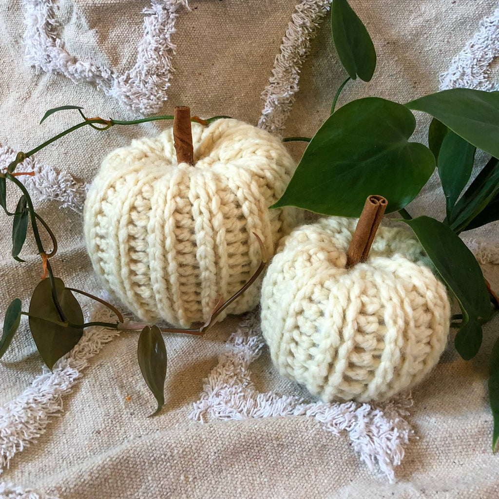 Two knit pumpkins in a cream white color and cinnamon sticks for stems sit on a rug with plant vines around them.