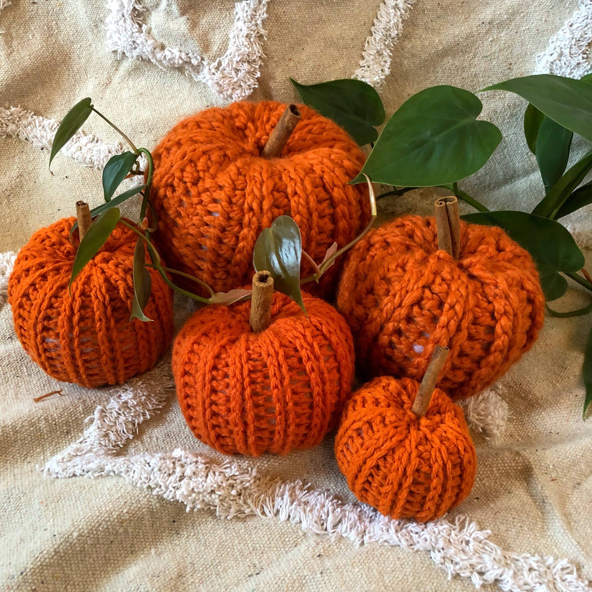 Five orange knit pumpkins in various sizes with cinnamon sticks for stems are sitting on a rug with plant vines around them. 