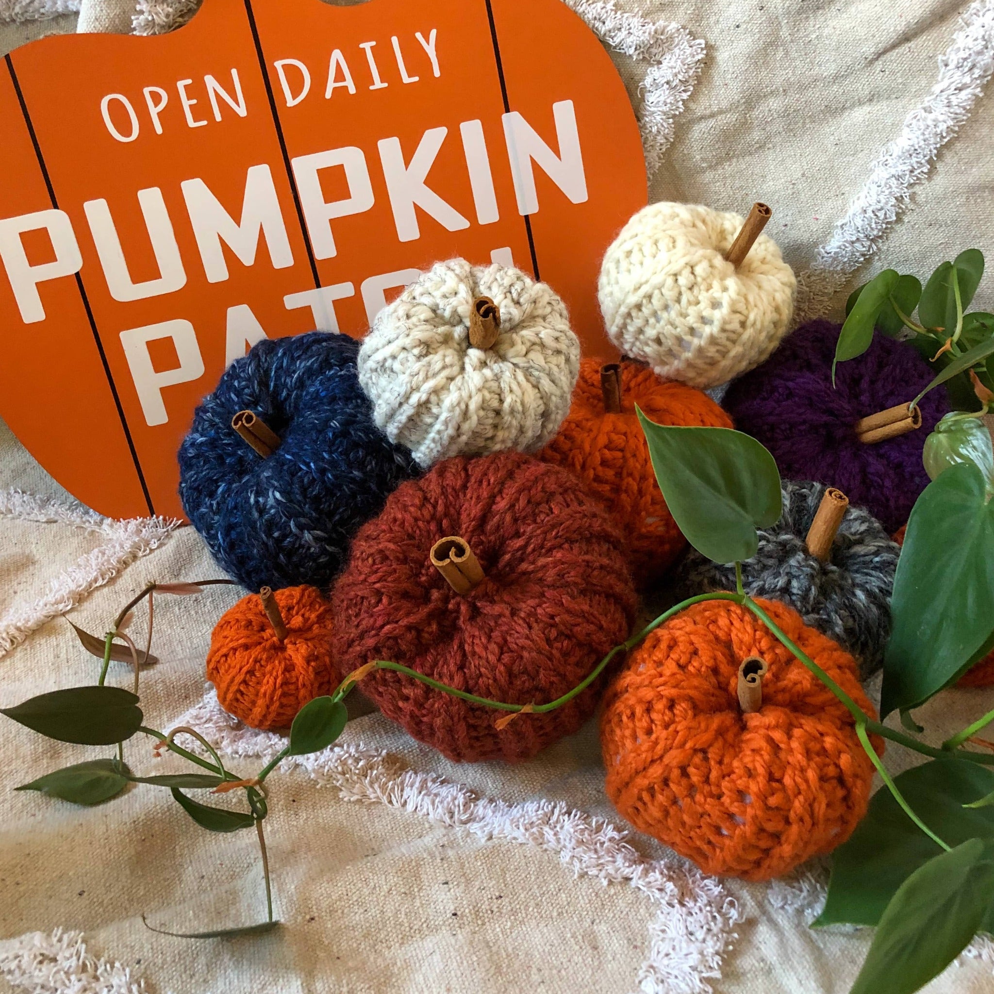 Knit pumpkins in various colors are placed on a rug next to a sign that reads "Open Daily Pumpkin Patch" in the shape of a pumpkin. There is also a plant vine surrounding them. 