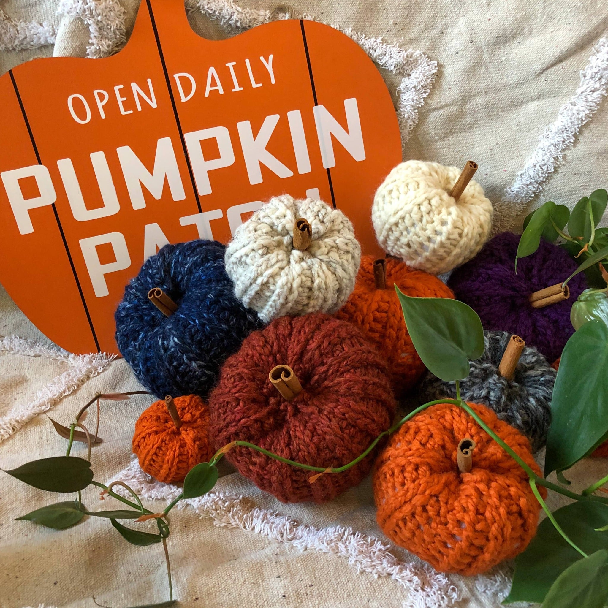 Knit pumpkins in various colors are placed on a rug next to a sign that reads "Open Daily Pumpkin Patch" in the shape of a pumpkin. There is also a plant vine surrounding them.