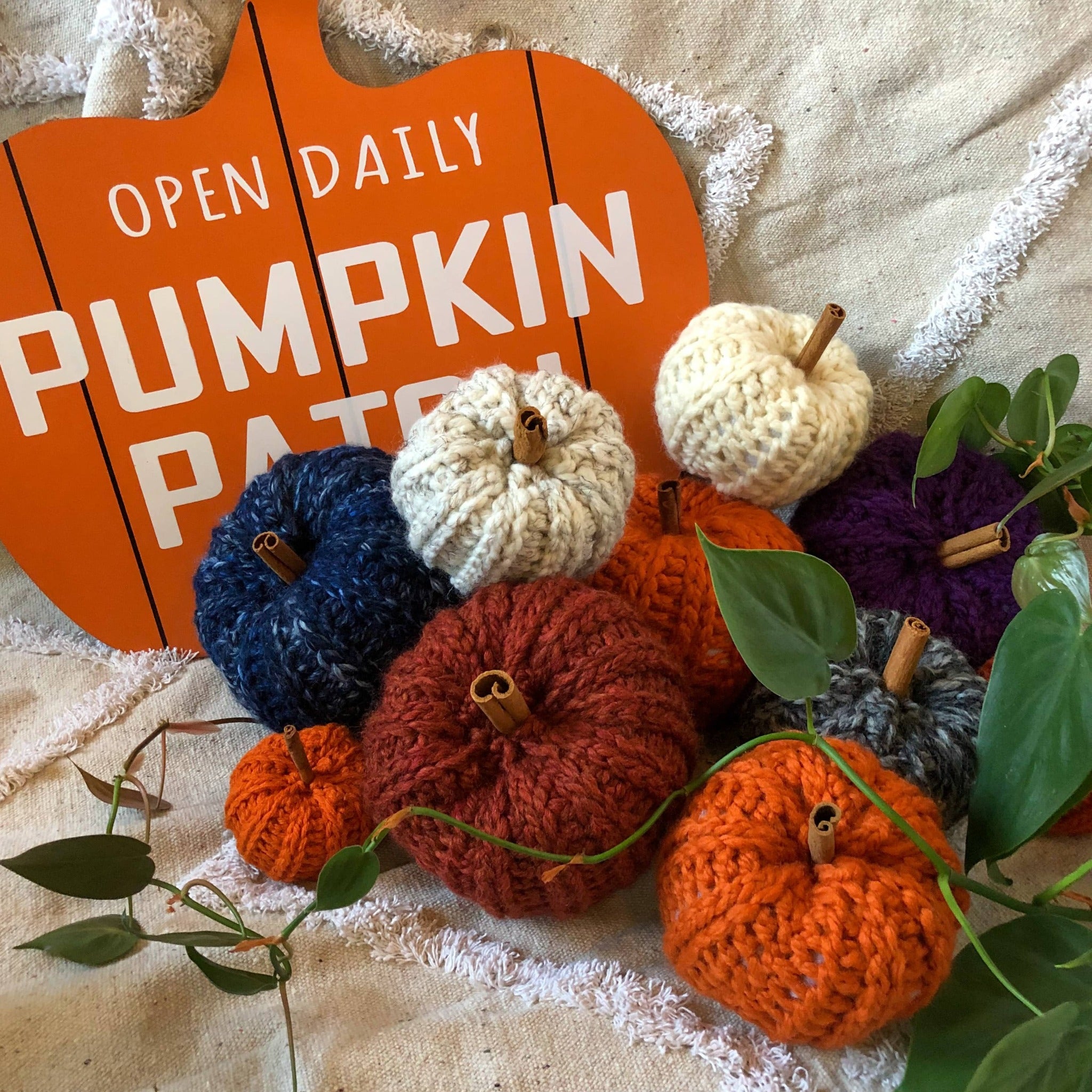 Knit pumpkins in various colors are placed on a rug next to a sign that reads "Open Daily Pumpkin Patch" in the shape of a pumpkin. There is also a plant vine surrounding them.