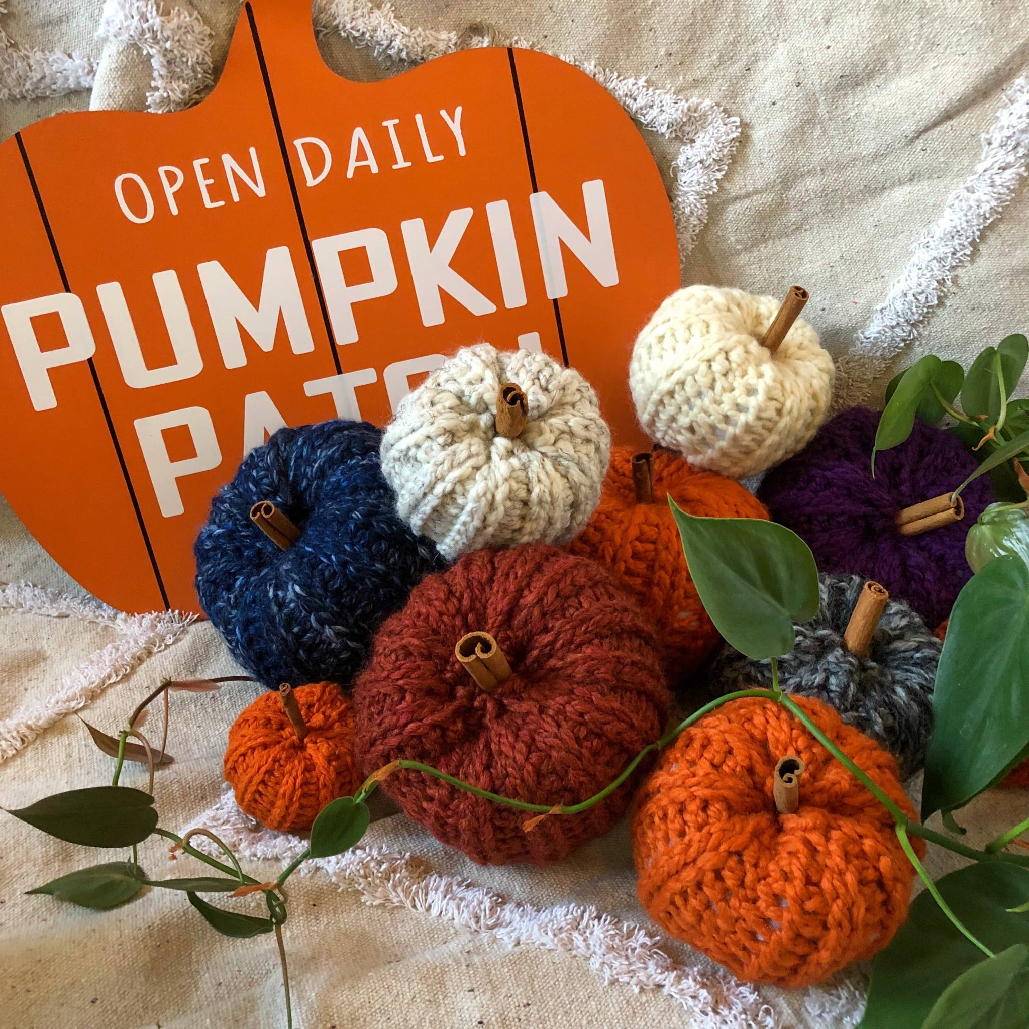 Knit pumpkins in various colors are placed on a rug next to a sign that reads "Open Daily Pumpkin Patch" in the shape of a pumpkin. There is also a plant vine surrounding them.